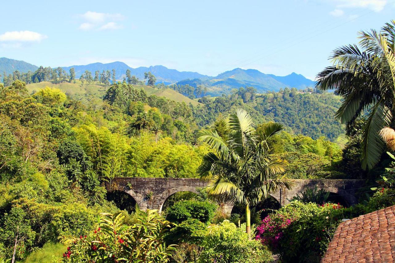 Ecolodge Puente Explanacionサレント エクステリア 写真