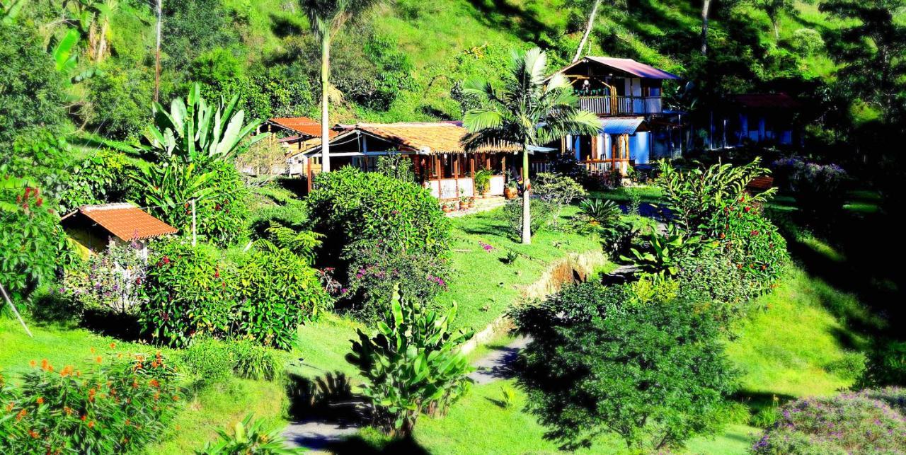 Ecolodge Puente Explanacionサレント エクステリア 写真