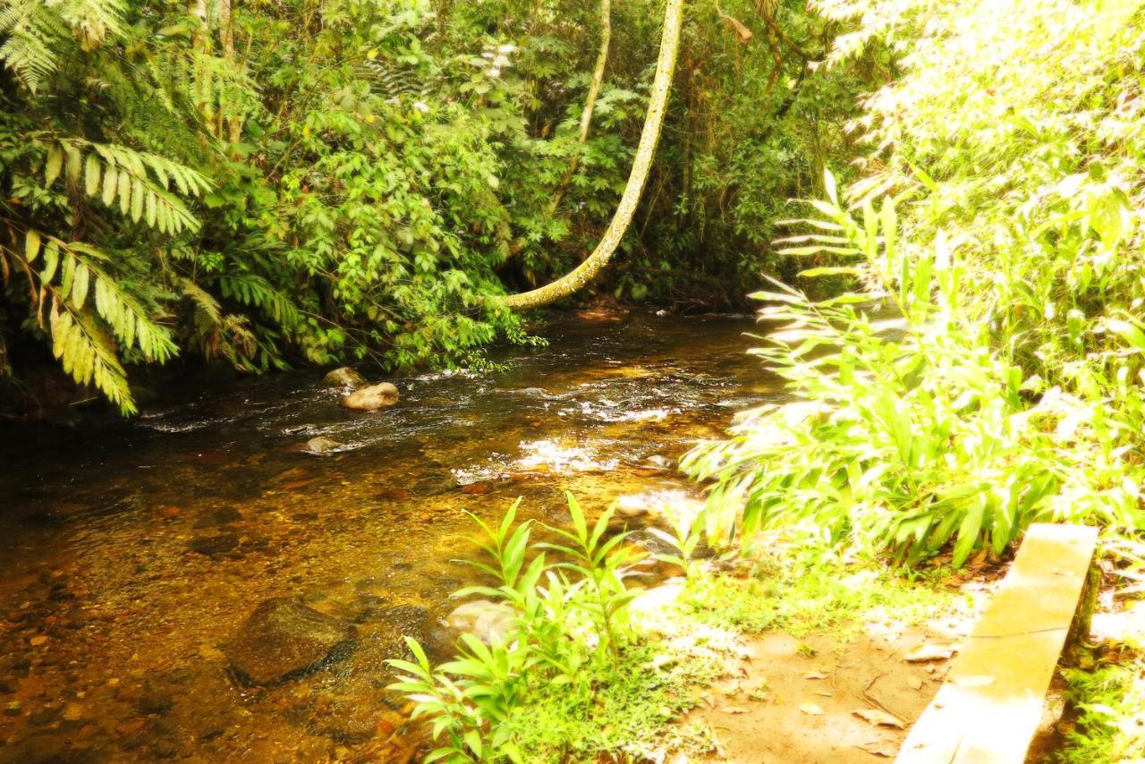 Ecolodge Puente Explanacionサレント エクステリア 写真