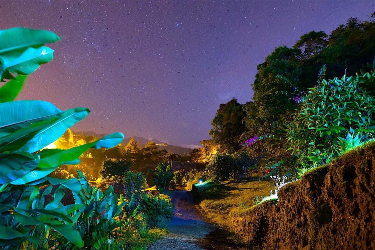 Ecolodge Puente Explanacionサレント エクステリア 写真