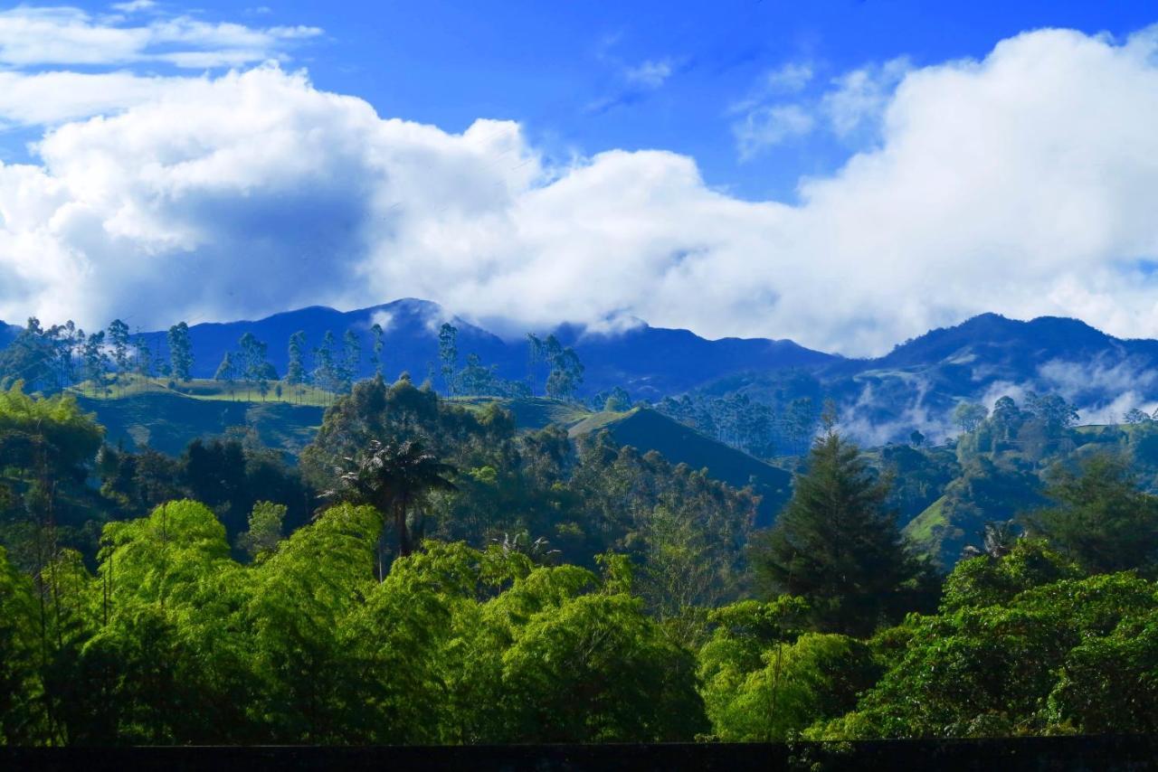 Ecolodge Puente Explanacionサレント エクステリア 写真