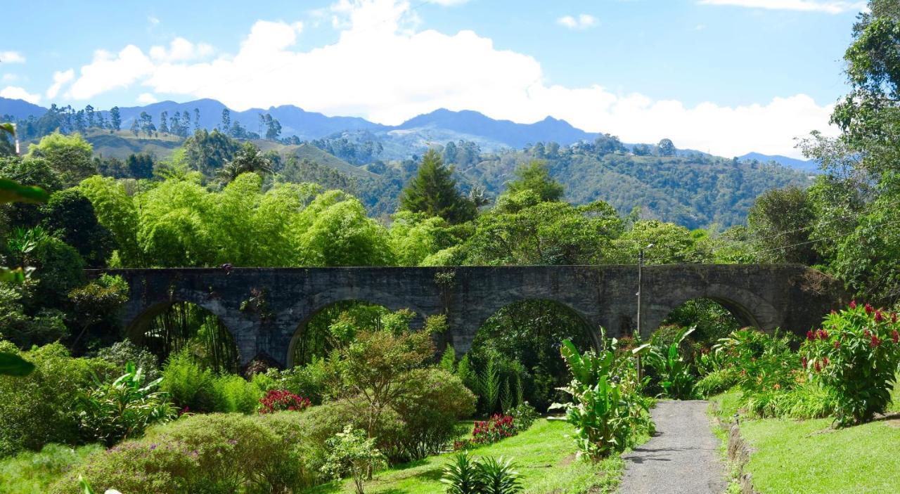 Ecolodge Puente Explanacionサレント エクステリア 写真