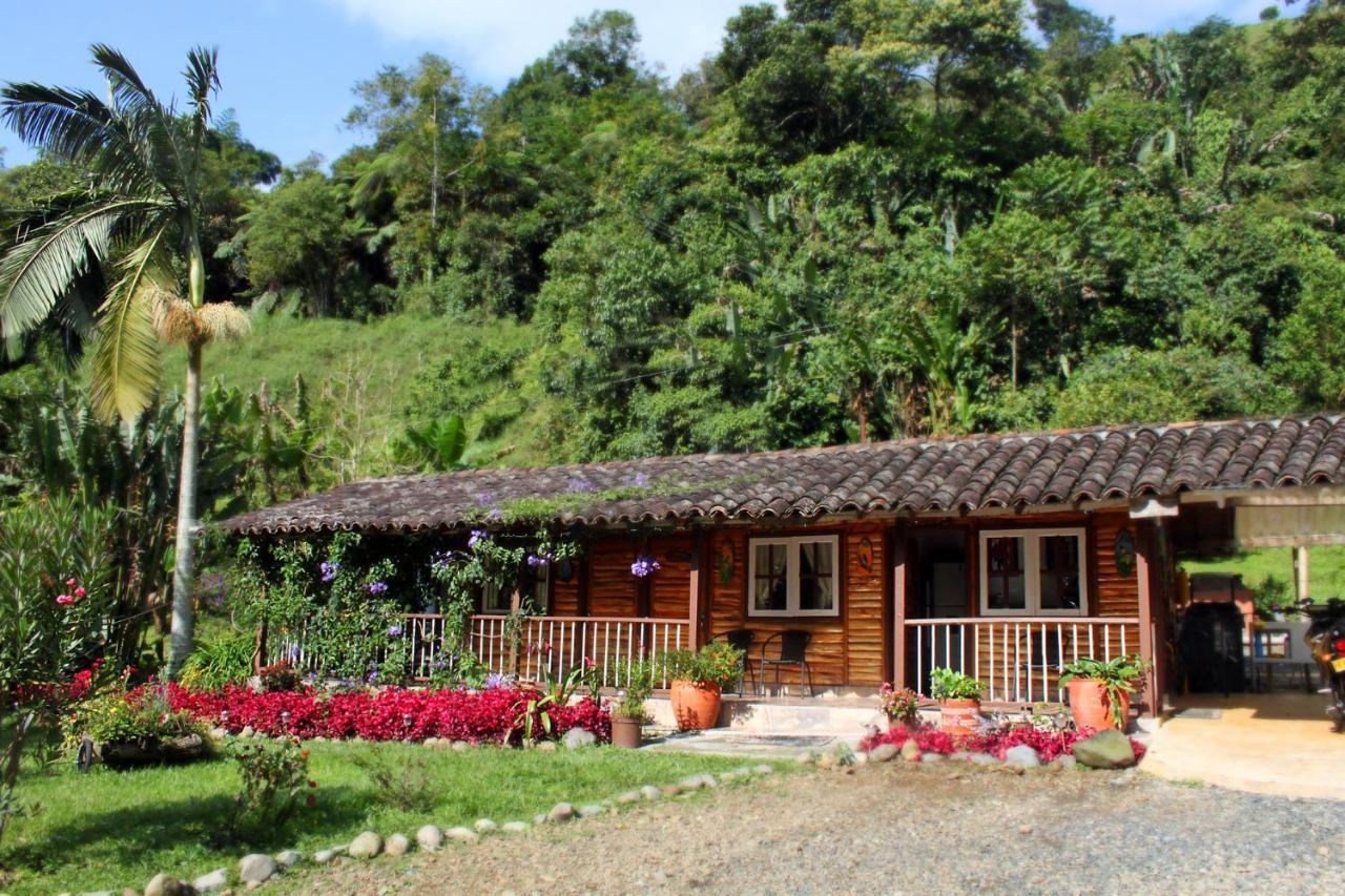 Ecolodge Puente Explanacionサレント エクステリア 写真