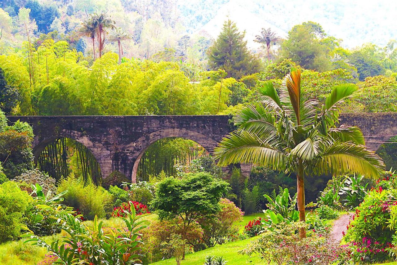 Ecolodge Puente Explanacionサレント エクステリア 写真