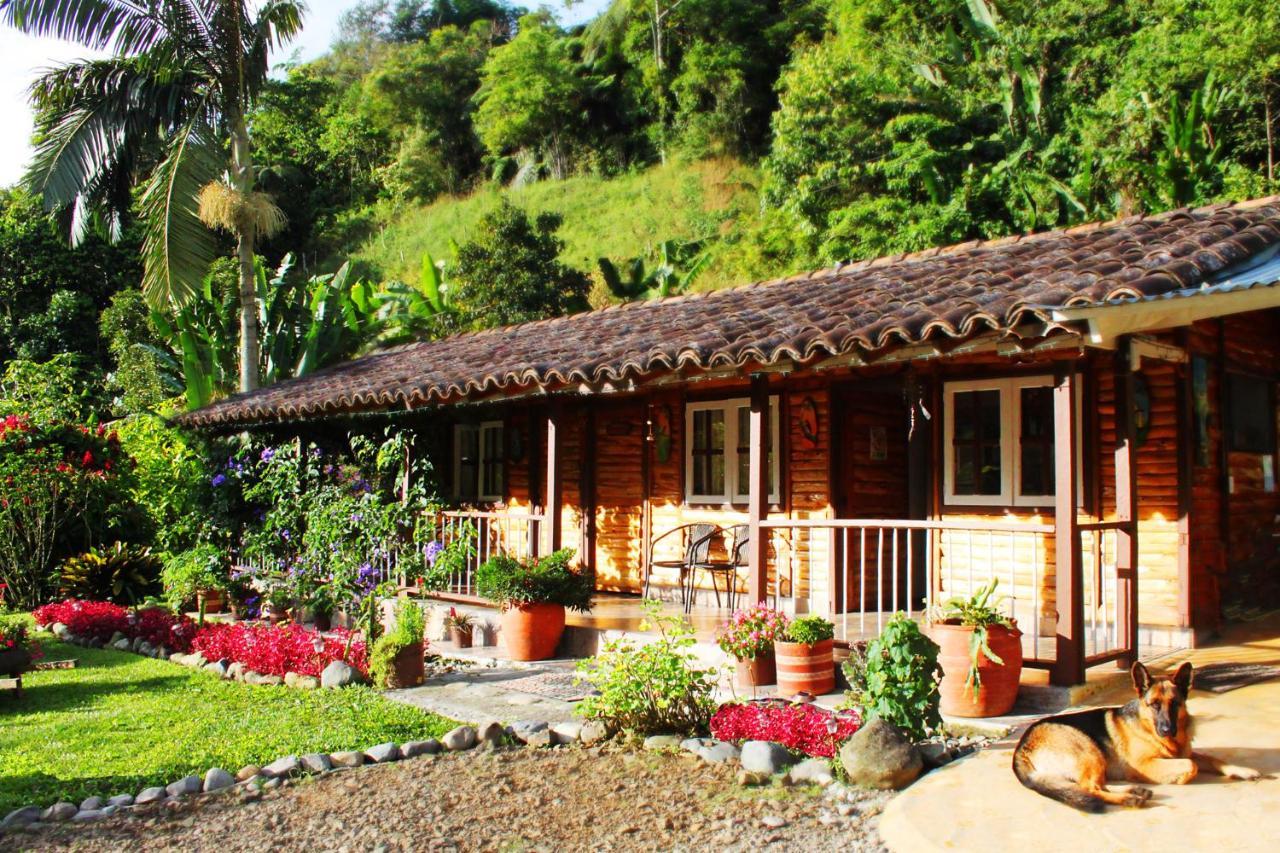 Ecolodge Puente Explanacionサレント エクステリア 写真