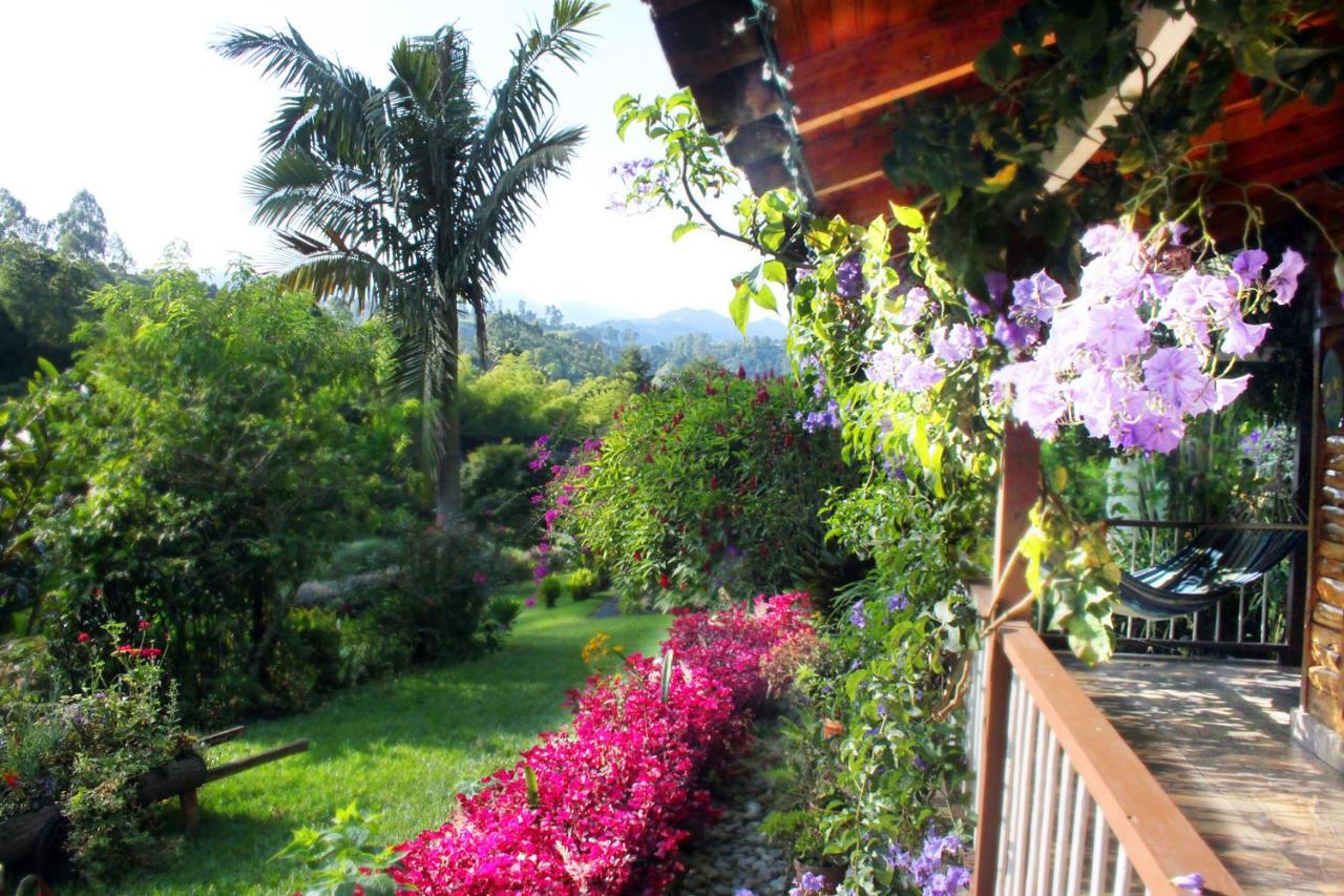 Ecolodge Puente Explanacionサレント エクステリア 写真