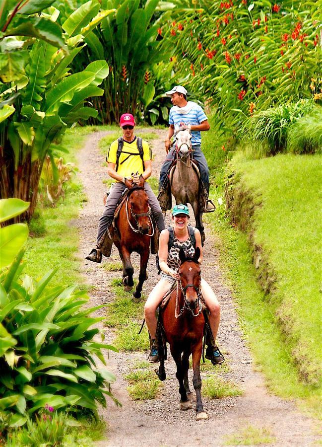 Ecolodge Puente Explanacionサレント エクステリア 写真