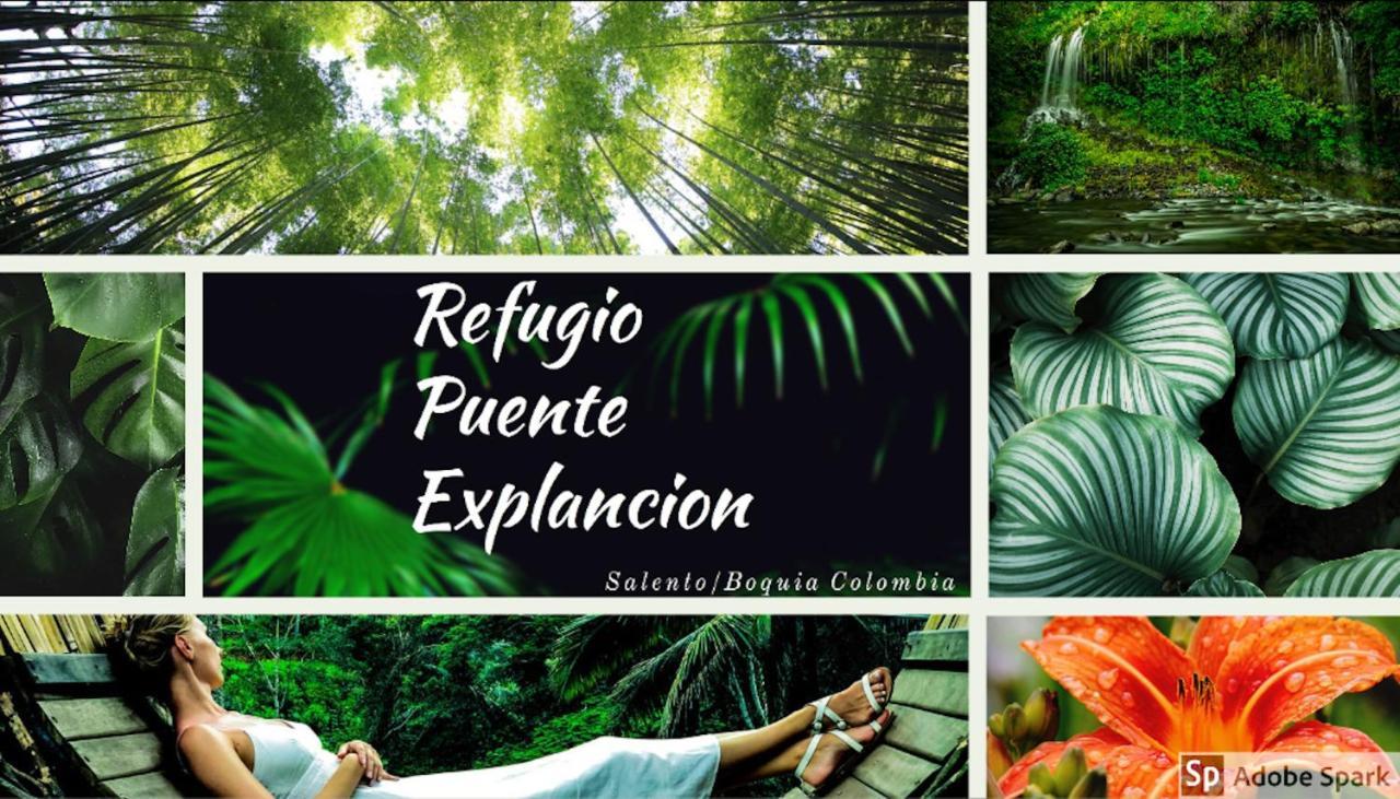 Ecolodge Puente Explanacionサレント エクステリア 写真