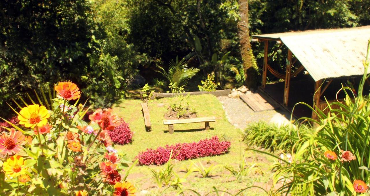 Ecolodge Puente Explanacionサレント エクステリア 写真