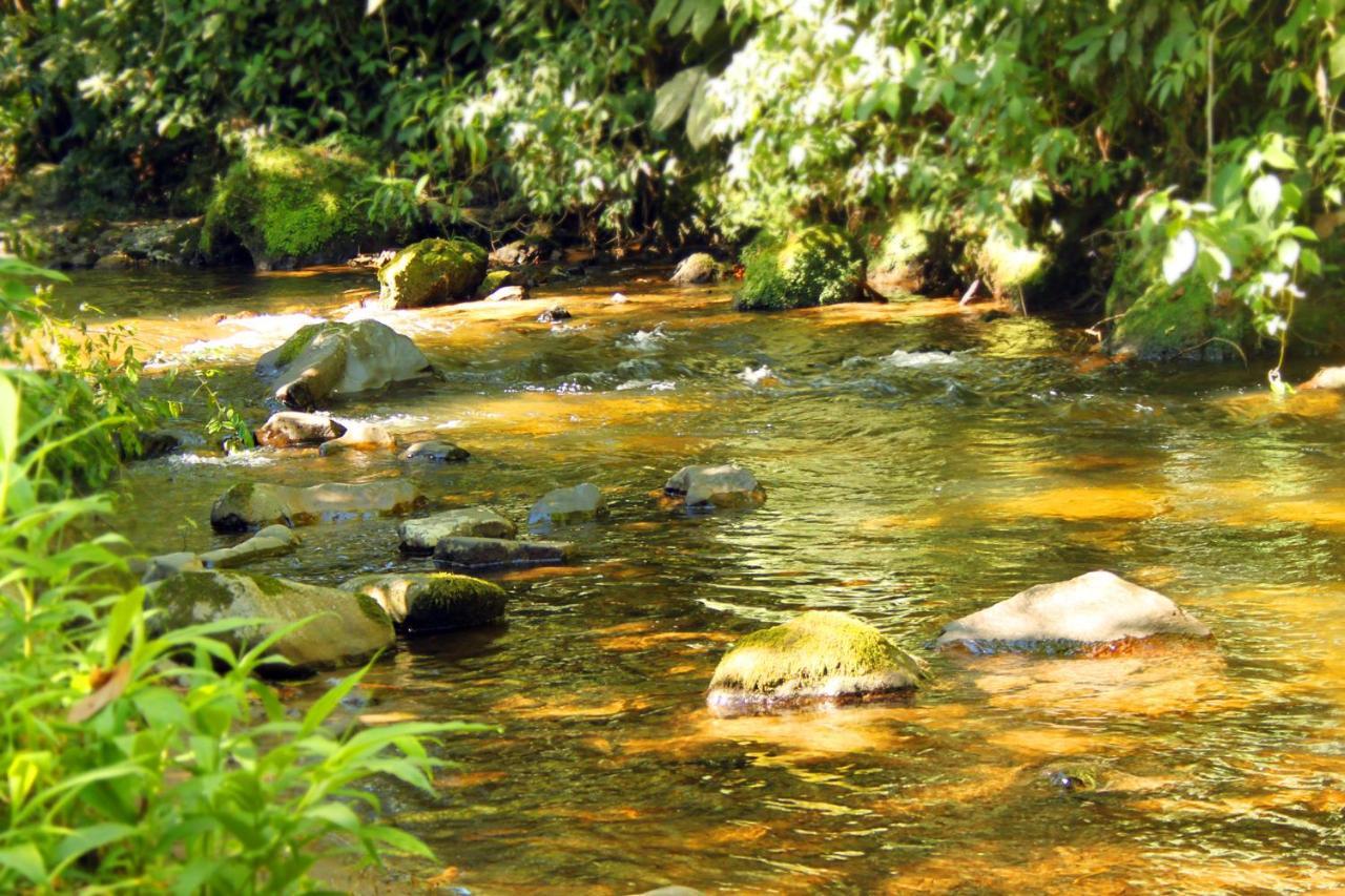 Ecolodge Puente Explanacionサレント エクステリア 写真
