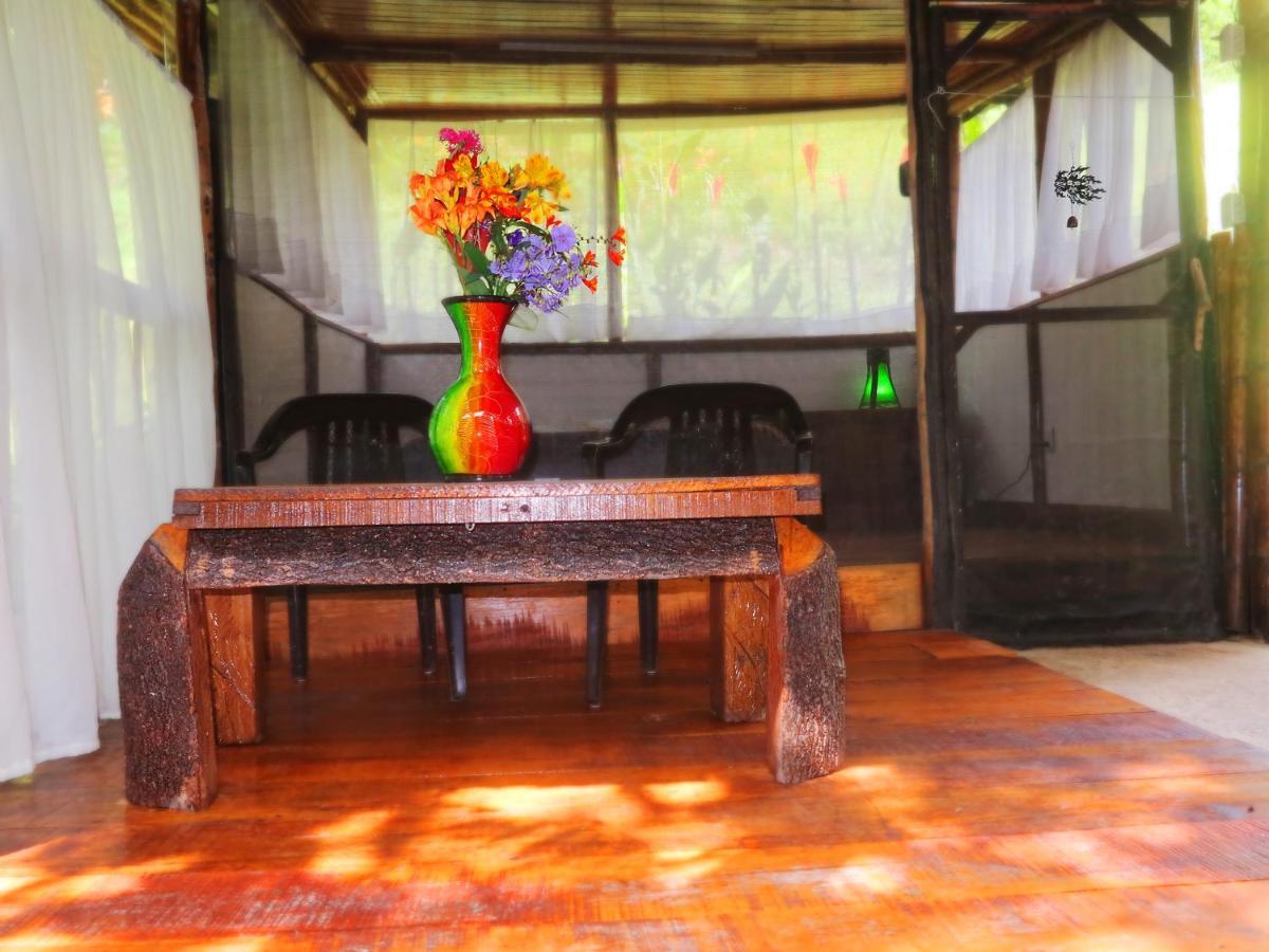 Ecolodge Puente Explanacionサレント エクステリア 写真