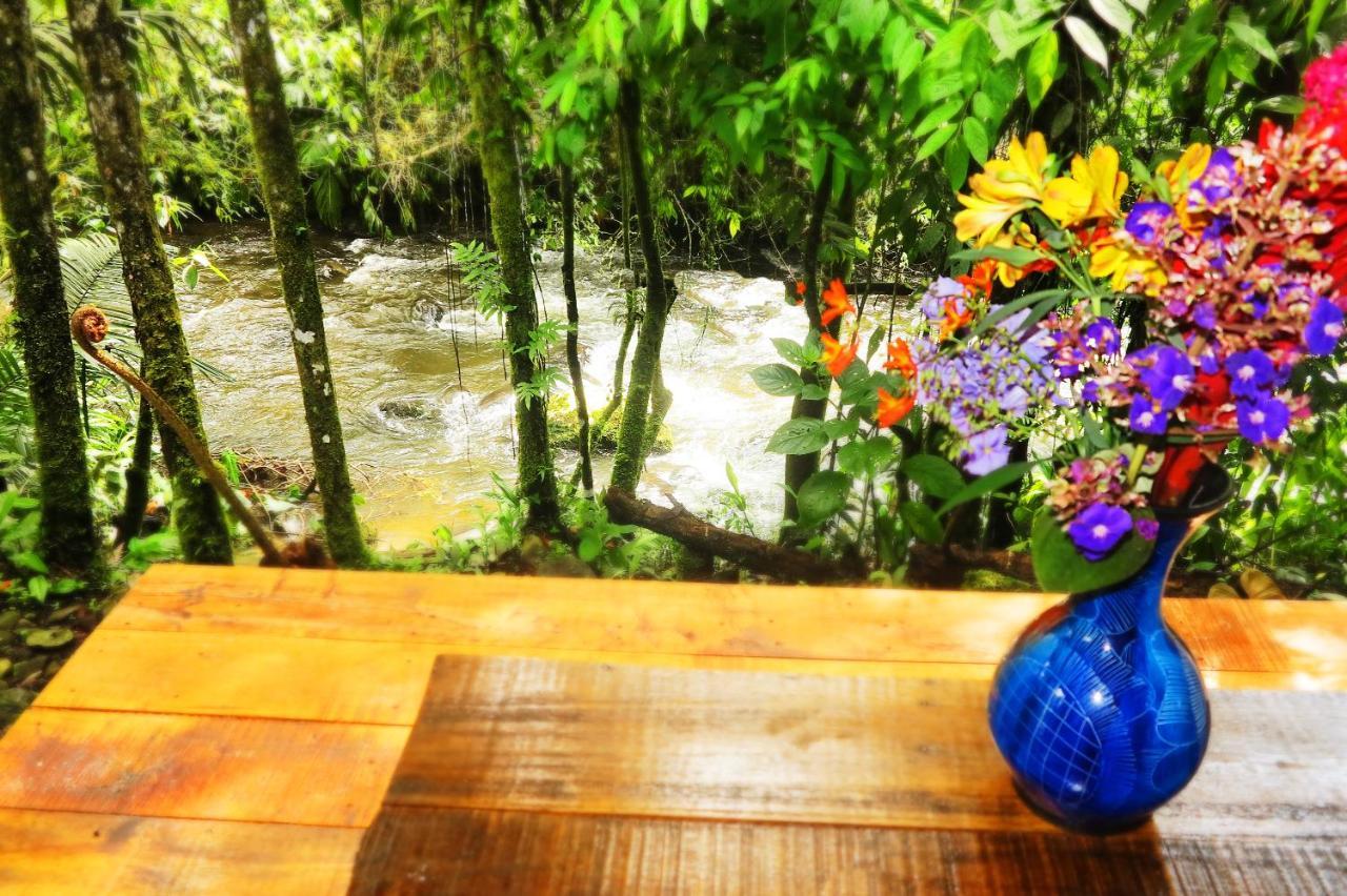 Ecolodge Puente Explanacionサレント エクステリア 写真