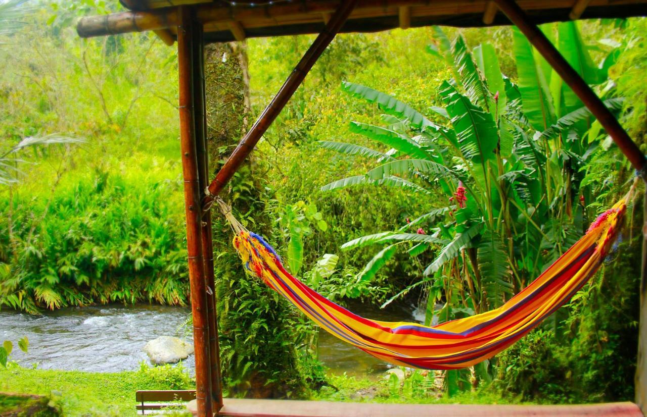 Ecolodge Puente Explanacionサレント エクステリア 写真