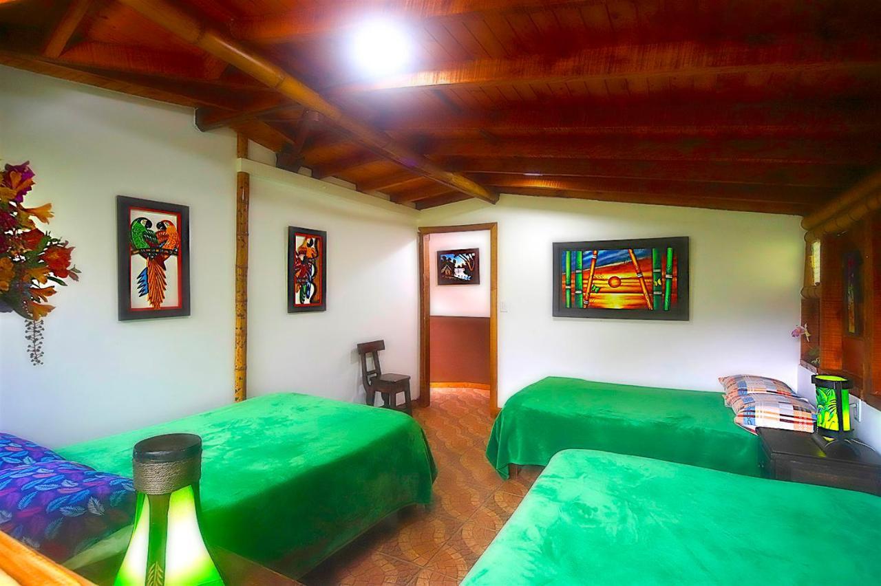 Ecolodge Puente Explanacionサレント エクステリア 写真
