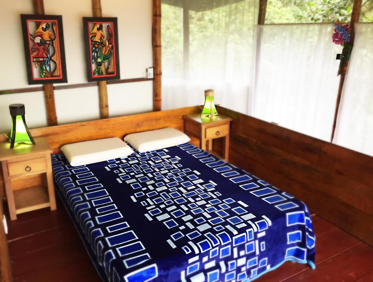 Ecolodge Puente Explanacionサレント エクステリア 写真